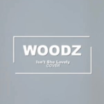 チョスンヨンWOODZペンカフェ