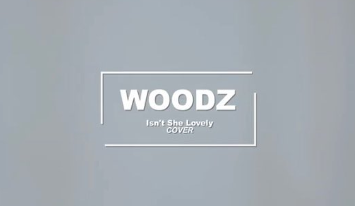チョスンヨンWOODZペンカフェ